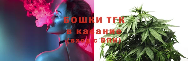 spice Осинники