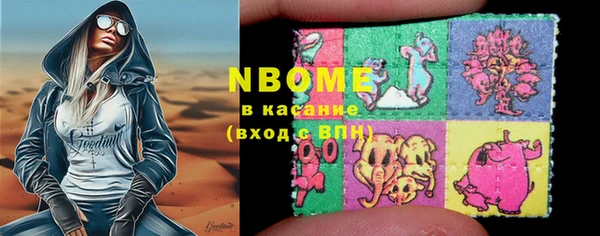 шишки Арсеньев
