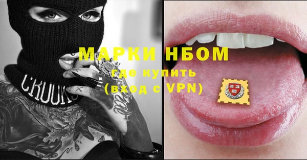 шишки Арсеньев
