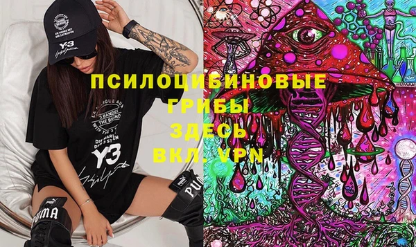 амф Алексин